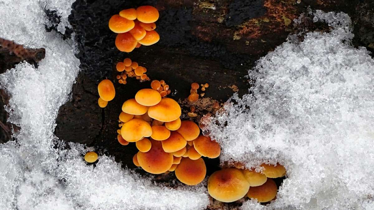 ����� � �������. ����� �������� �������� �� PhotoGeek.ru #�����