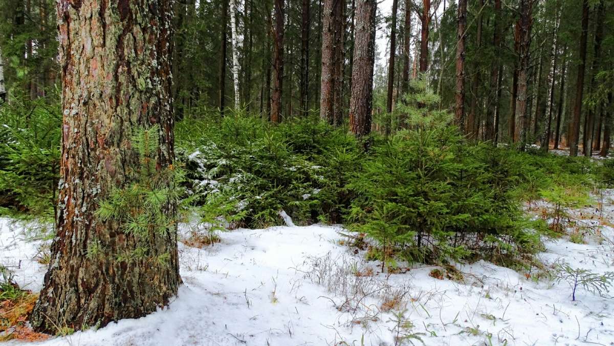 ������ ��� � �������. ����� �������� �������� �� PhotoGeek.ru #������ ��� �������