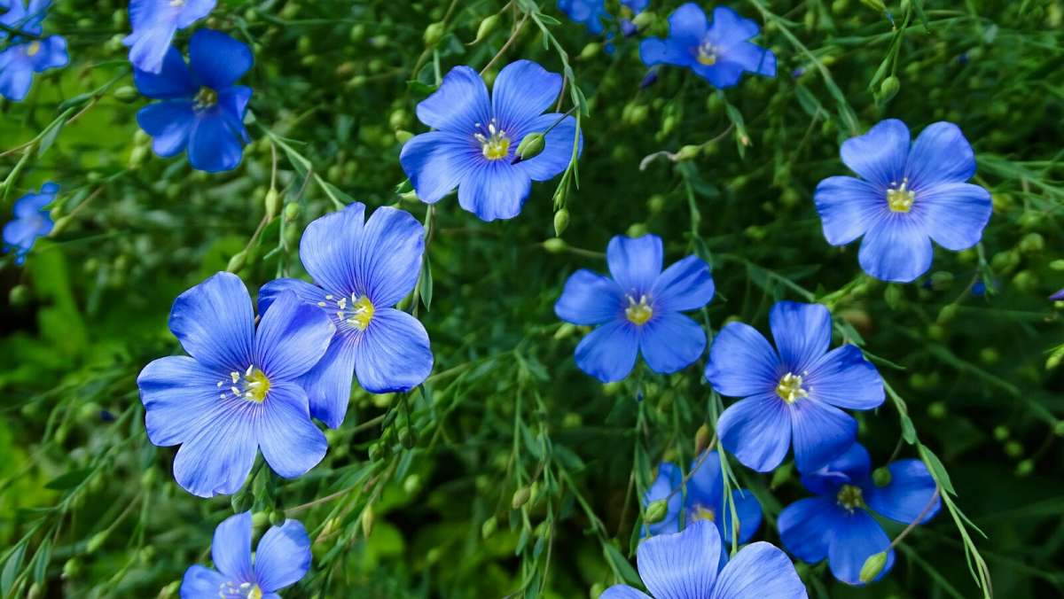 ����� � ������ (�����) ����� �������� �������� �� PhotoGeek.ru #����� #����� #������ ��� �������