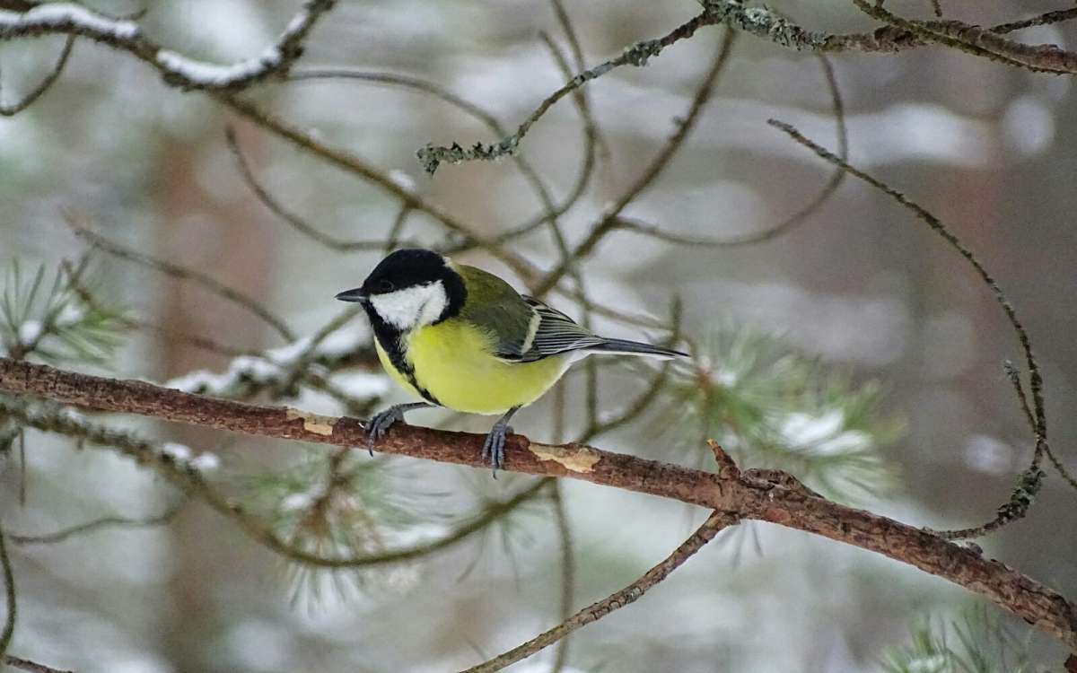 ������� ������. ����� �������� �������� �� PhotoGeek.ru #�������� ���