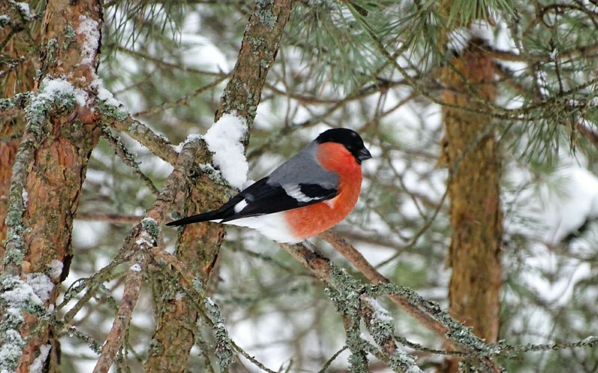 �������. ����� �������� �������� �� PhotoGeek.ru #�������� ���