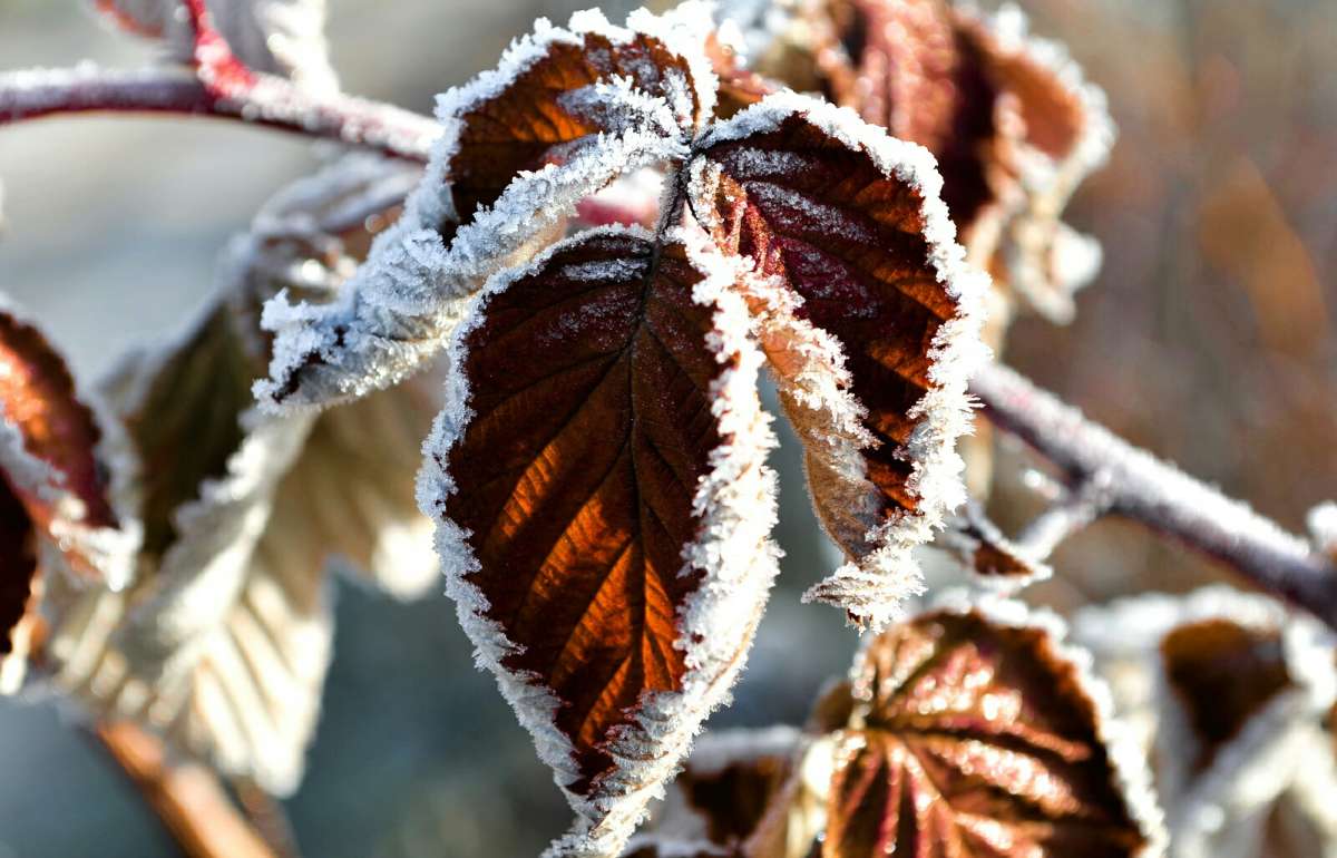 �������� �������. ����� �������� �������� �� PhotoGeek.ru #����� #�����