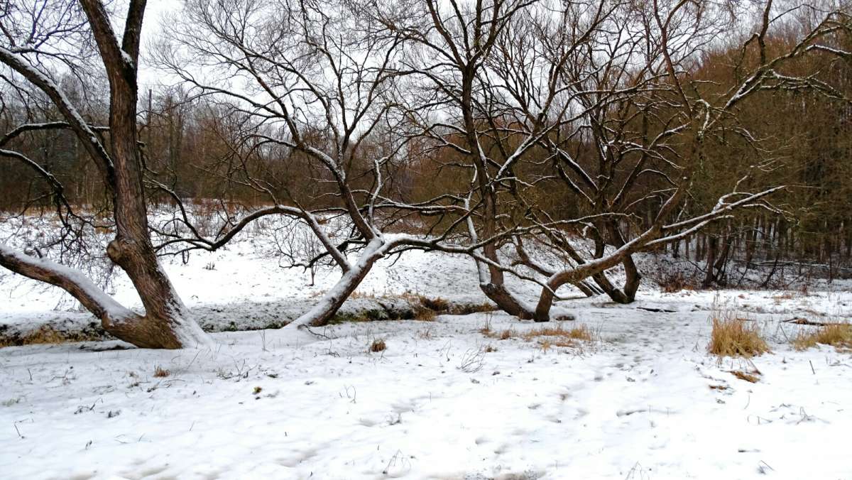 ��������� ���� � �������. ����� �������� �������� �� PhotoGeek.ru #����� #������ ��� �������