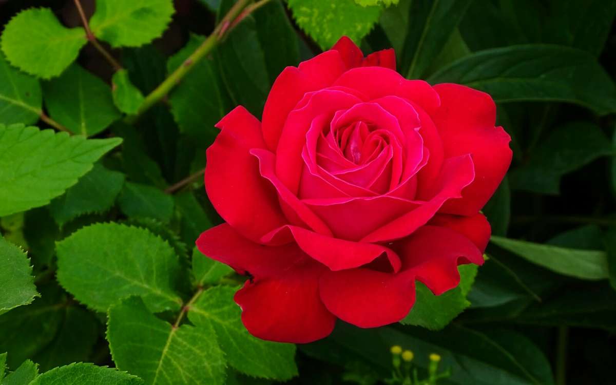 ����� � ������ ����� �������� �������� �� PhotoGeek.ru #����� #�����