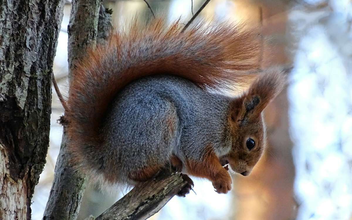 ����� ���������� �����. ����� �������� �������� �� PhotoGeek.ru #����� #�������� ���