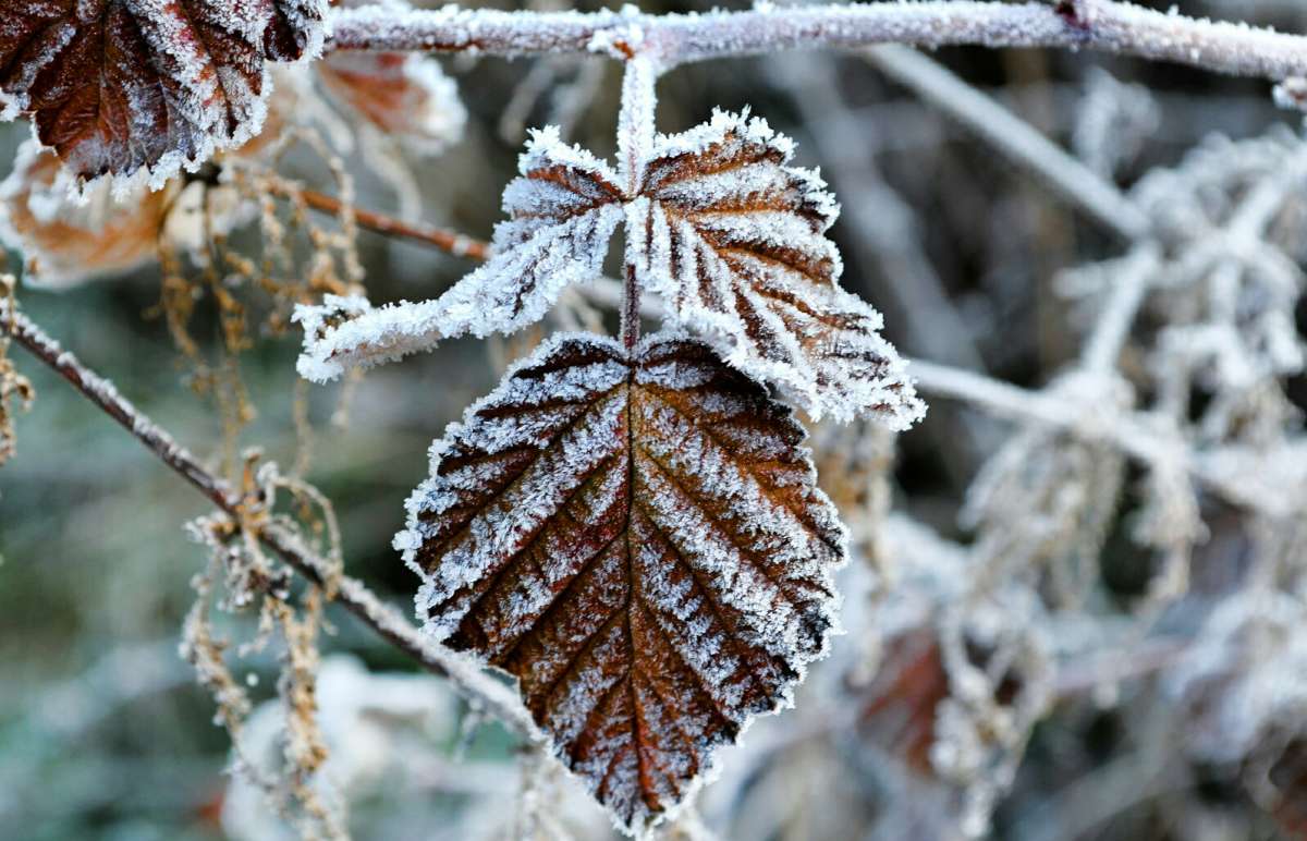 ������� �� ��������. ����� �������� �������� �� PhotoGeek.ru #����� #�����