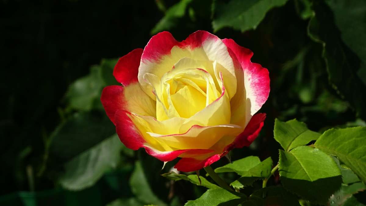 ����� � ������ ����� �������� �������� �� PhotoGeek.ru #����� #�����