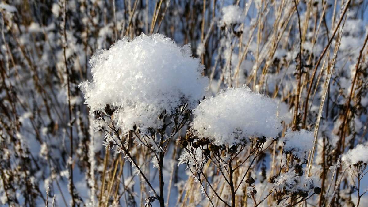 �������� ����. ����� �������� �������� �� PhotoGeek.ru #�����