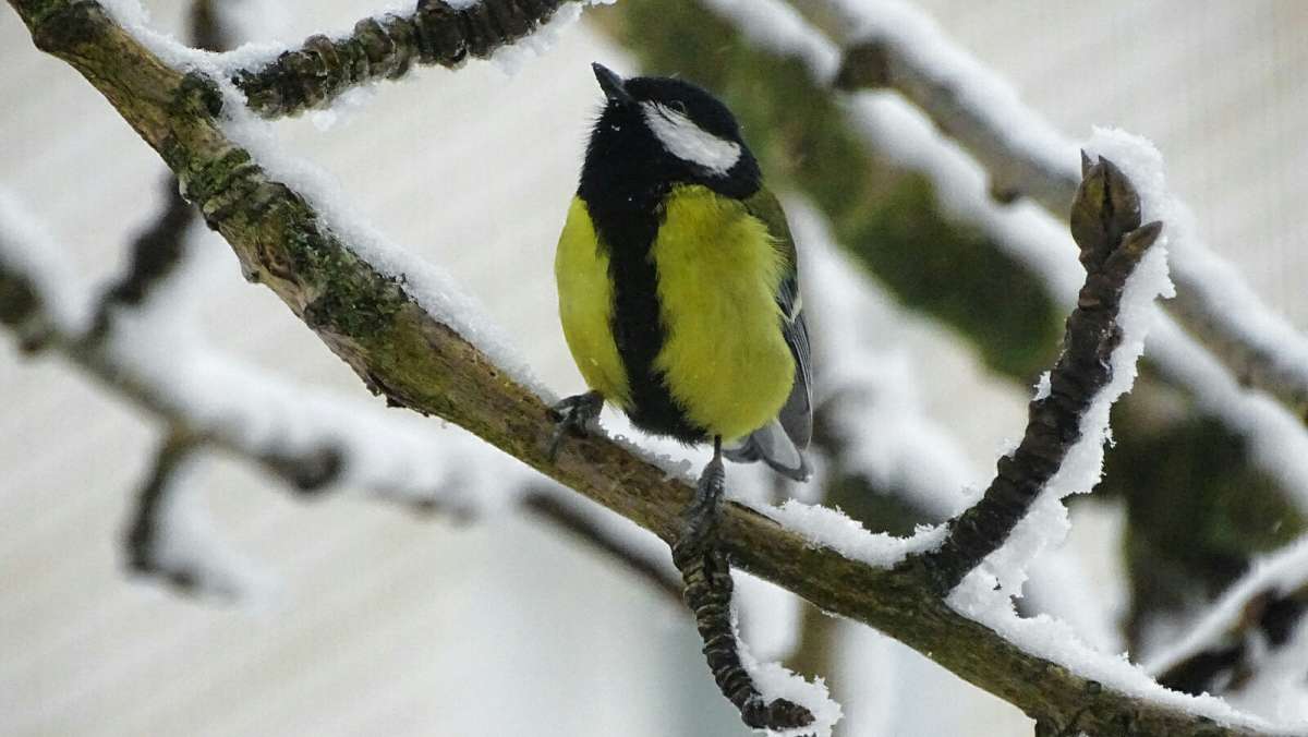 ��� ����! ����� �������� �������� �� PhotoGeek.ru #����� #�������� ���