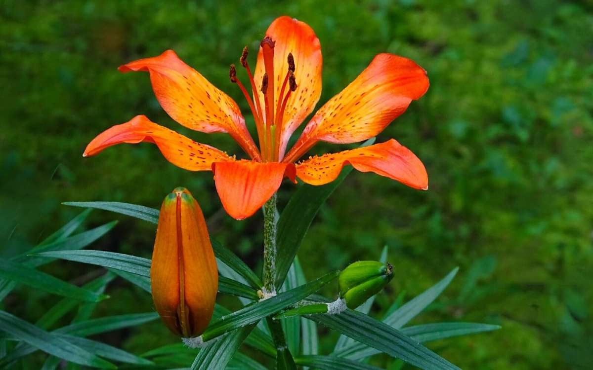 ����� � ������. ����� �������� �������� �� PhotoGeek.ru #����� #�����