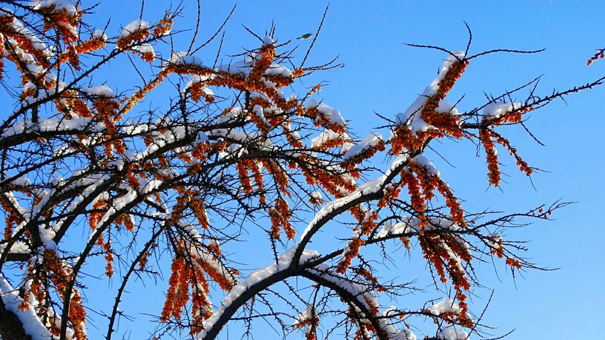 �������� ����������� �� ����. ����� �������� �������� �� PhotoGeek.ru #����� #������ ��� �������