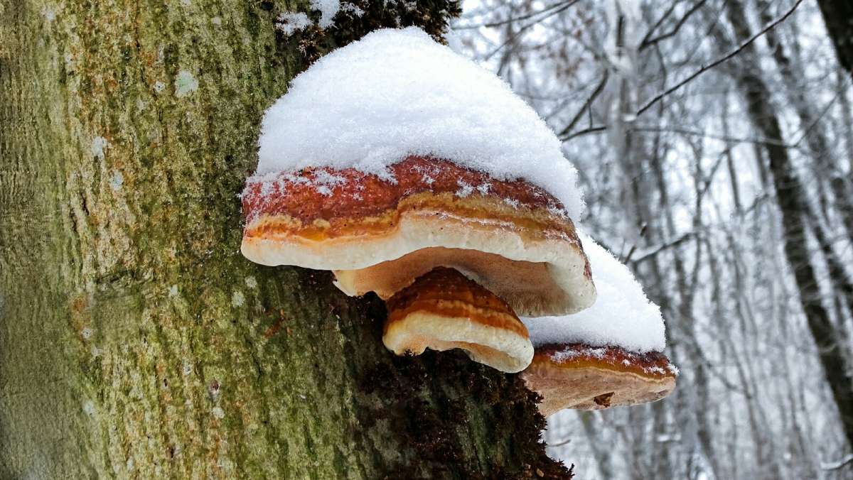 ��������� ���� � "��������". ����� �������� �������� �� PhotoGeek.ru #����� #������ ��� �������