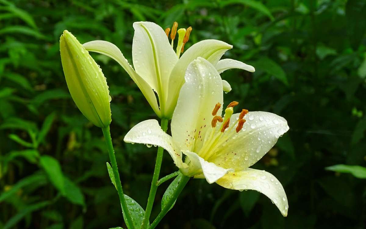 ����� � ������ ����� �������� �������� �� PhotoGeek.ru #����� #�����