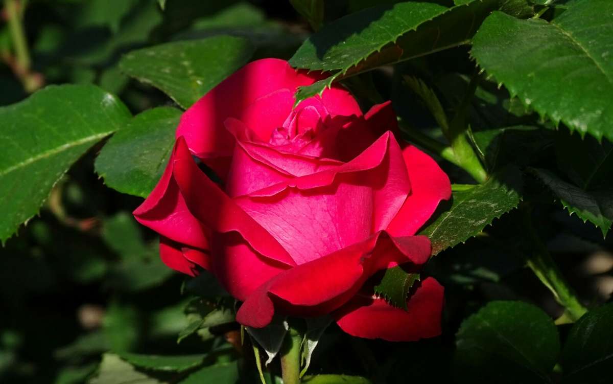 ����� � ������ ����� �������� �������� �� PhotoGeek.ru #����� #�����