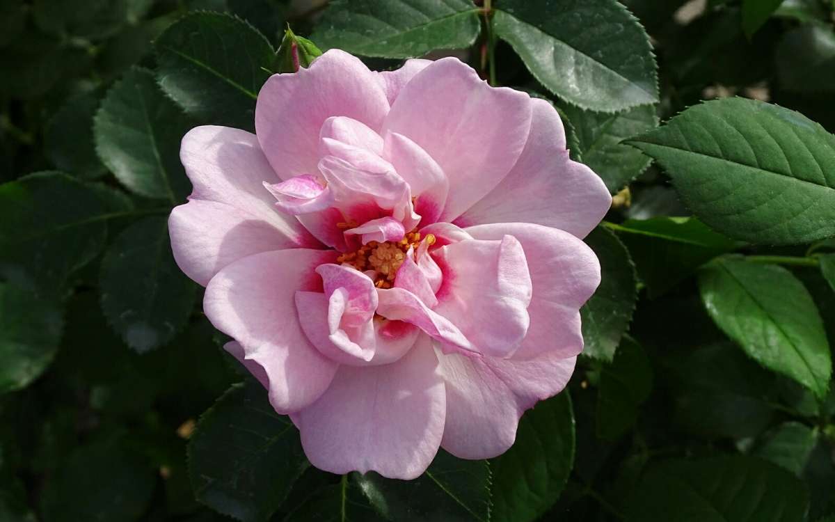 ����� � ������. ����� �������� �������� �� PhotoGeek.ru #����� #�����