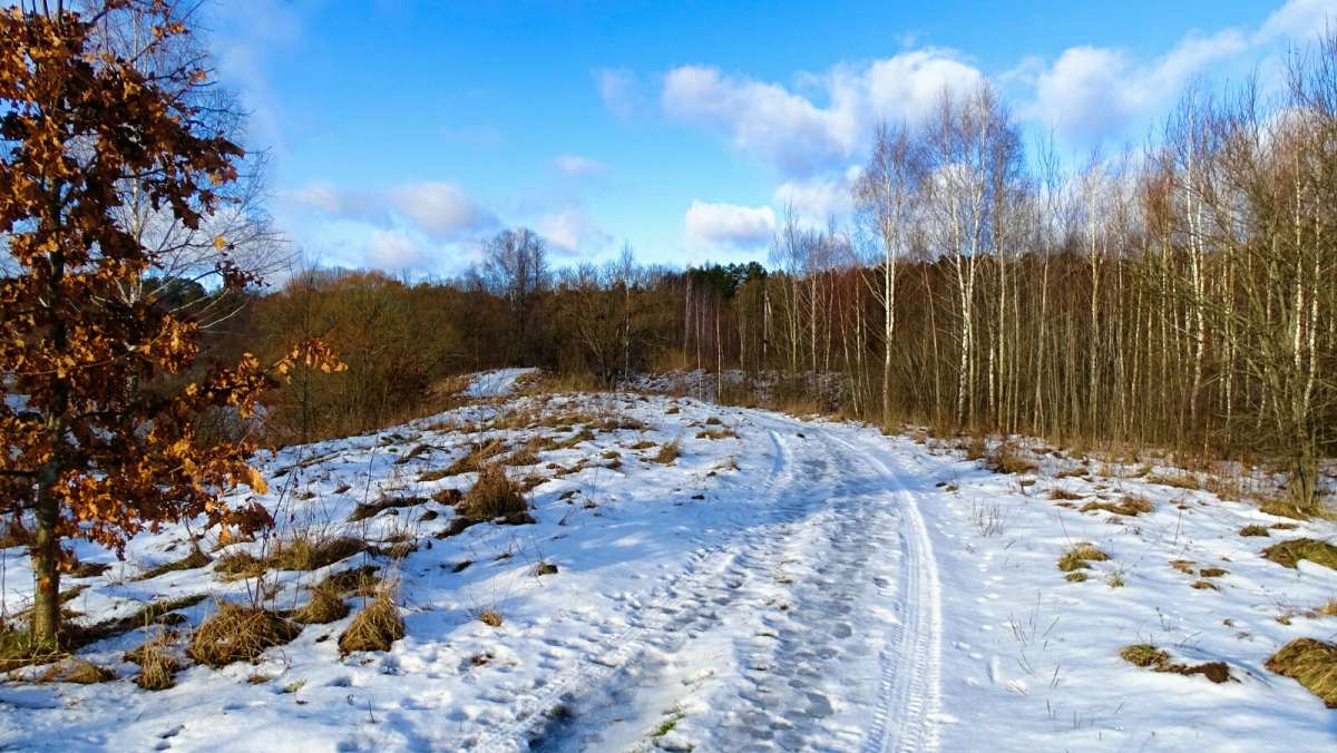 ������ ������. ����� �������� �������� �� PhotoGeek.ru #������ ��� �������