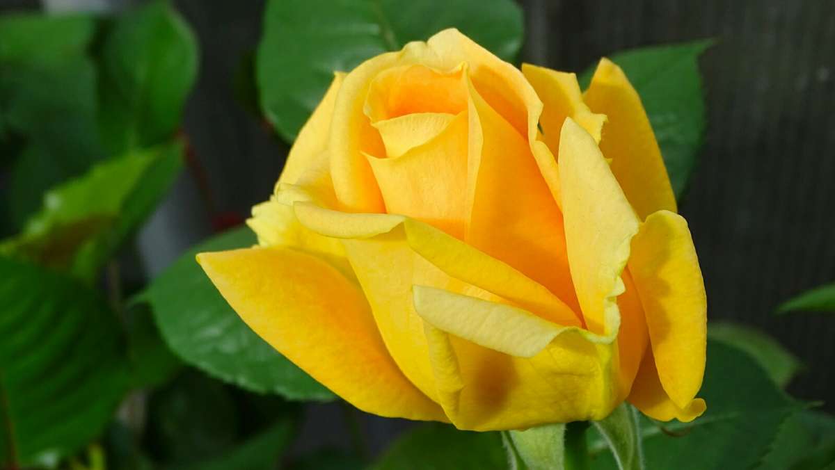 ����� � ������. ����� �������� �������� �� PhotoGeek.ru #����� #�����