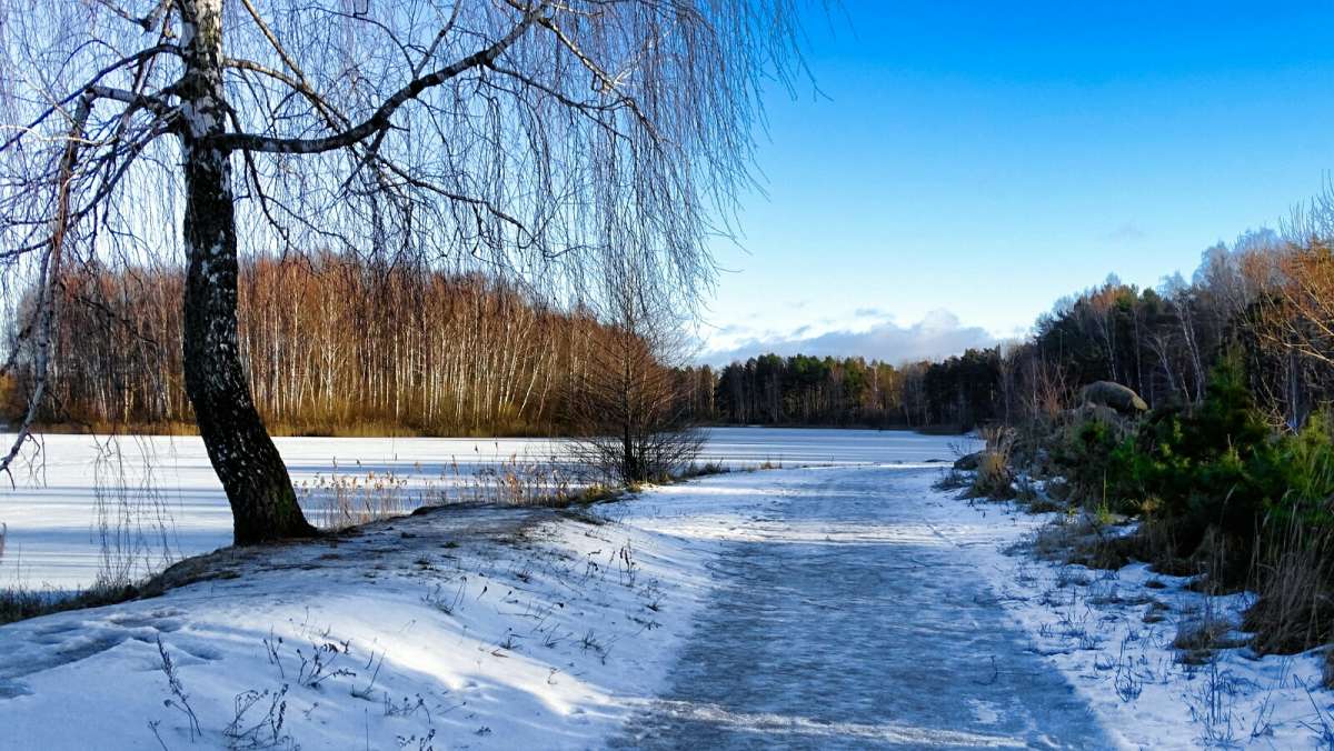 ������ �� ����� �����. ����� �������� �������� �� PhotoGeek.ru #������ ��� �������