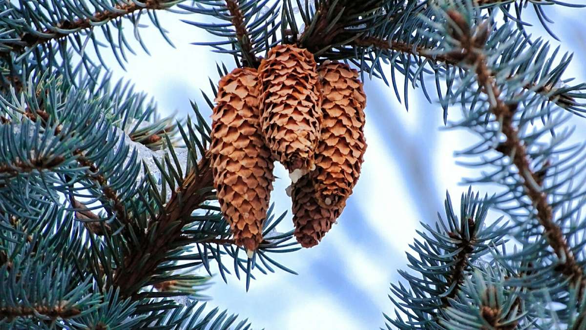 �������� ���� ����� �������� �������� �� PhotoGeek.ru #����� #�����