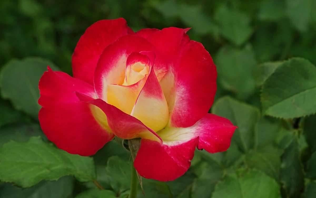 ����� � ������ ����� �������� �������� �� PhotoGeek.ru #����� #�����