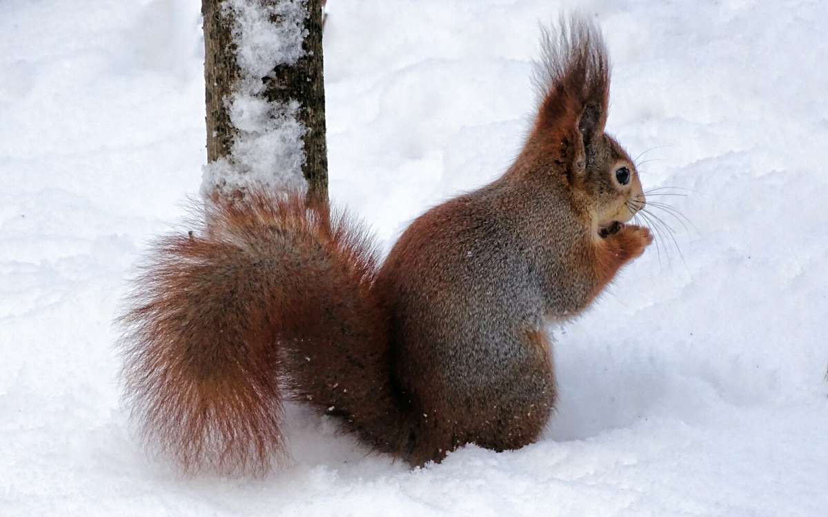 ����� ���������� �����. ����� �������� �������� �� PhotoGeek.ru #����� #�������� ���