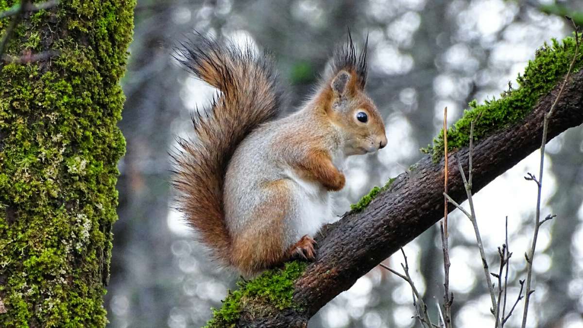 ����� ���������� �����. ����� �������� �������� �� PhotoGeek.ru #����� #�������� ���