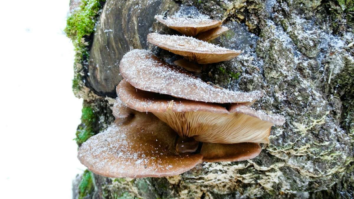 ����� ������ ������������ � ����� �������. ����� �������� �������� �� PhotoGeek.ru #����� #������ ��� �������