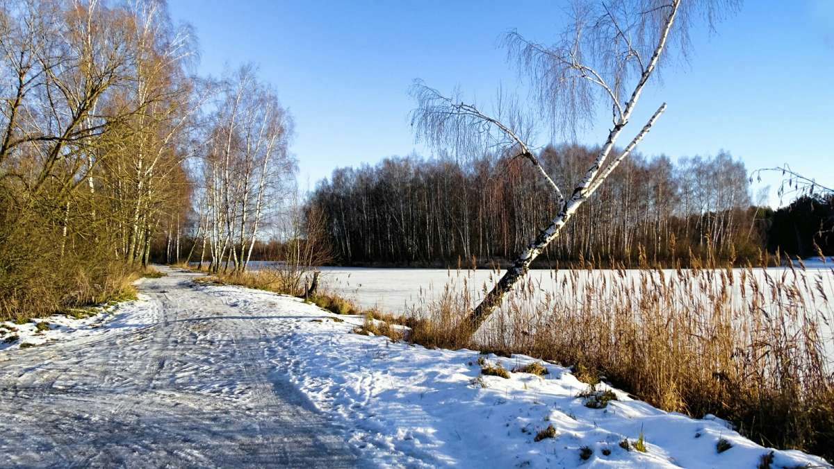 ������ ������. ����� �������� �������� �� PhotoGeek.ru #������ ��� �������