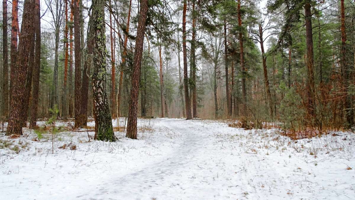 ��� � ����� �������. ����� �������� �������� �� PhotoGeek.ru #������ ��� �������