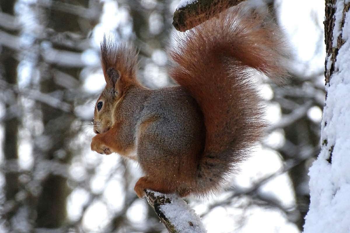 ���������� �����. ����� �������� �������� �� PhotoGeek.ru #����� #�������� ���