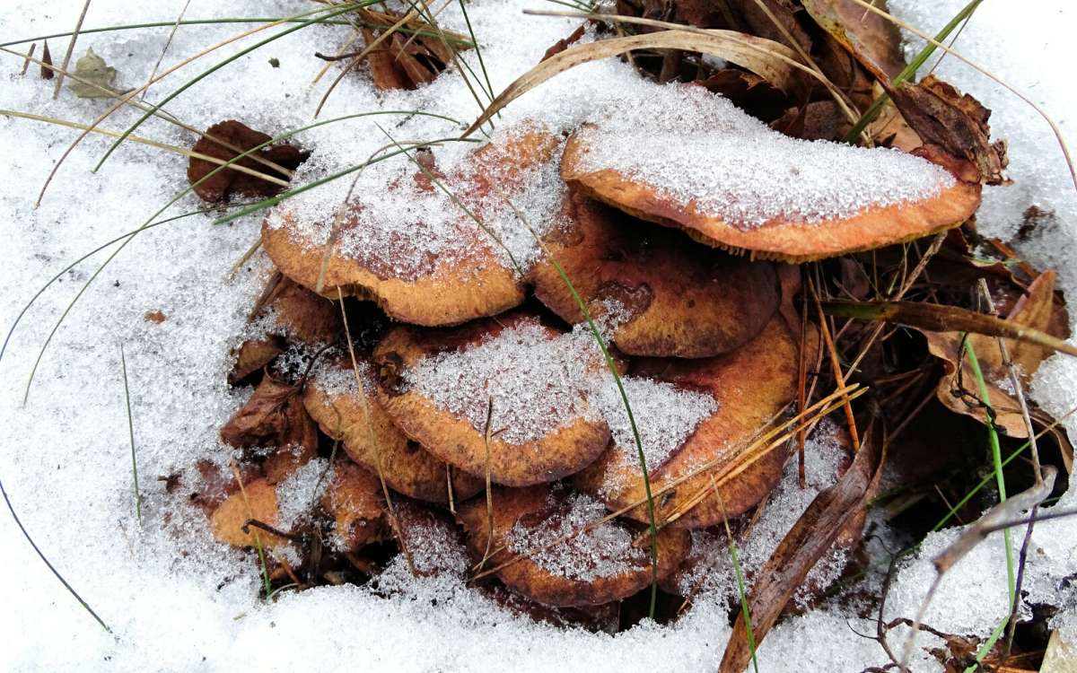 ����� � ����� �������. ����� �������� �������� �� PhotoGeek.ru #�����