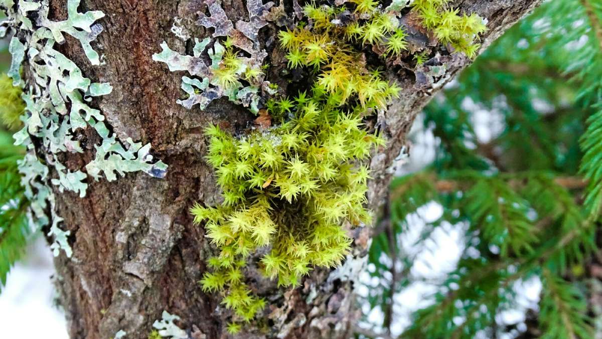 � ����������� ���� ����� ����� �����. ����� �������� �������� �� PhotoGeek.ru #����� #������ ��� �������