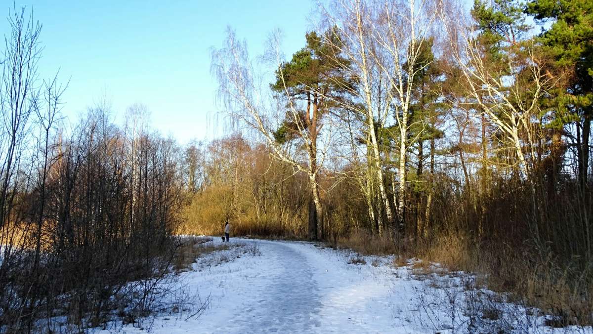 �������� ����� ��� ������ ��������. ����� �������� �������� �� PhotoGeek.ru #������ ��� �������