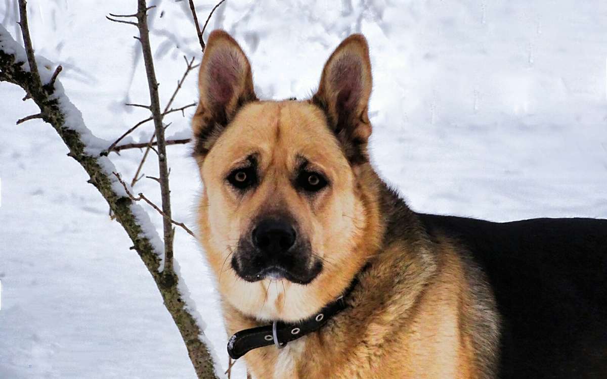 ������� ����� � ����������� ������. ����� �������� �������� �� PhotoGeek.ru #����� #�������� ���