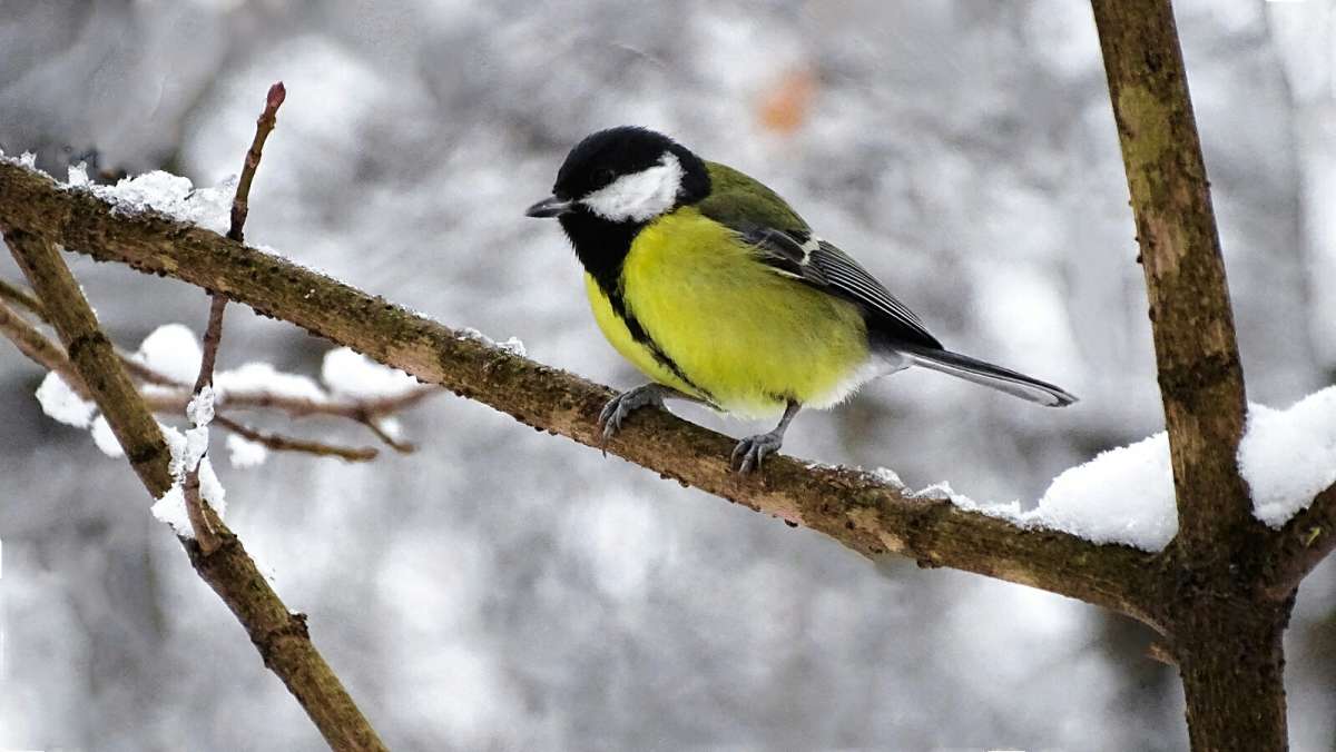 ������ � ��������� ����. ����� �������� �������� �� PhotoGeek.ru #�������� ���