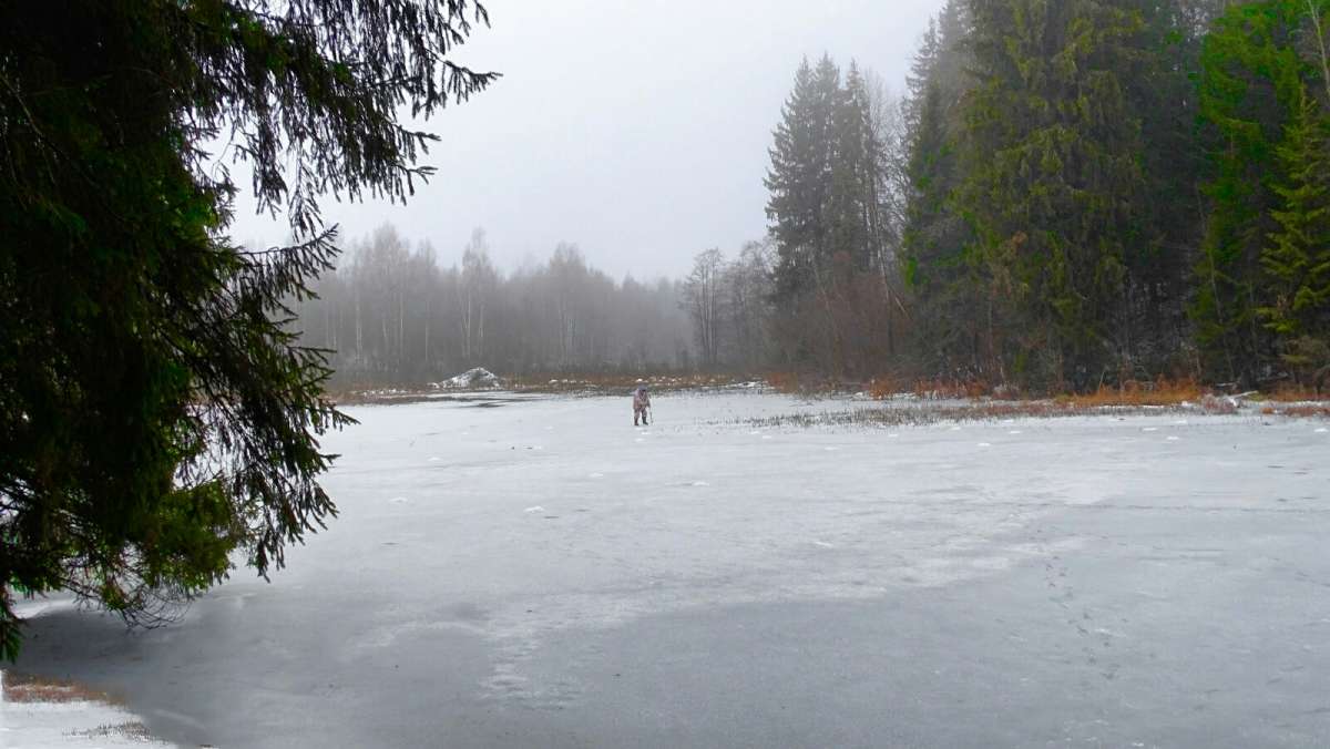 ����� �� ������ ����. ����� �������� �������� �� PhotoGeek.ru #������ ��� �������