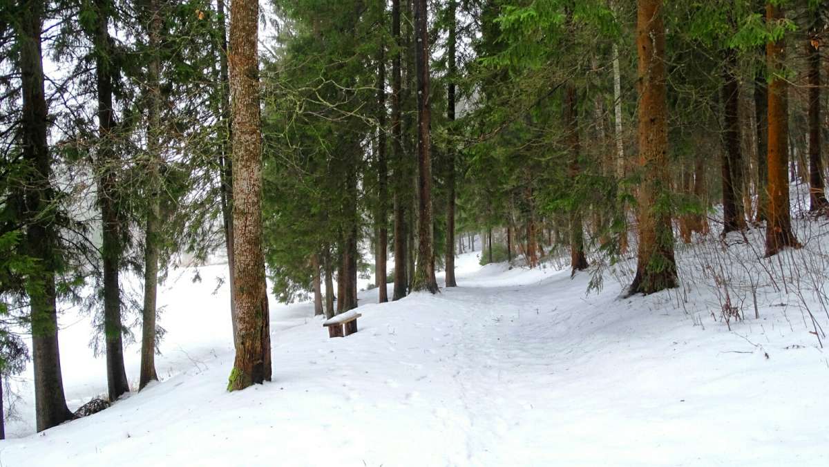 ������� � ����� �������. ����� �������� �������� �� PhotoGeek.ru #������ ��� �������