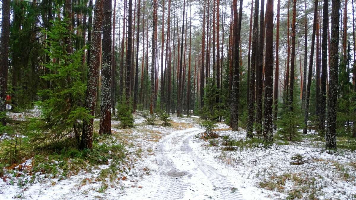 � ��������� ���� ����� �������� �������� �� PhotoGeek.ru #������ ��� �������