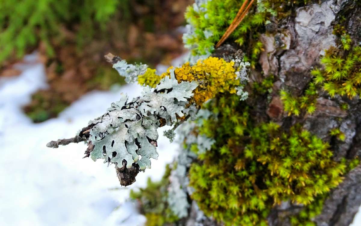 ���������� �������. ����� �������� �������� �� PhotoGeek.ru #�����