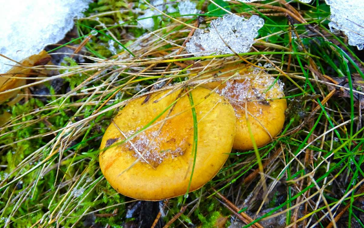 ����� ��-��� �����. ����� �������� �������� �� PhotoGeek.ru #������ ��� �������