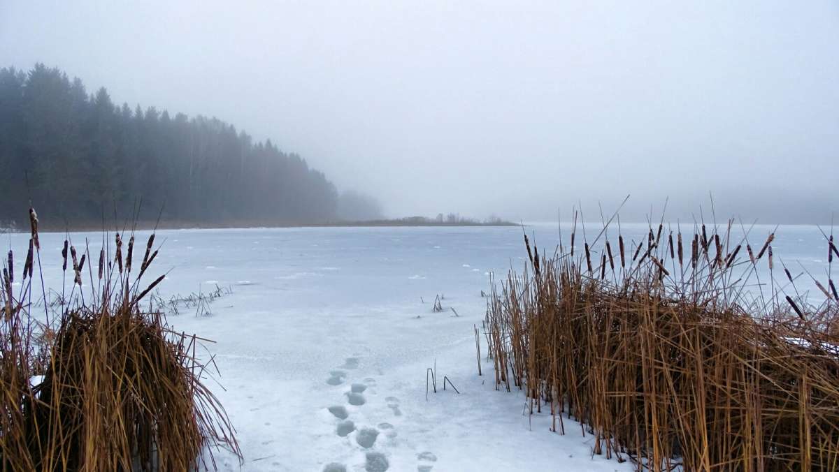 ��������� ������. ����� �������� �������� �� PhotoGeek.ru #������ ��� �������