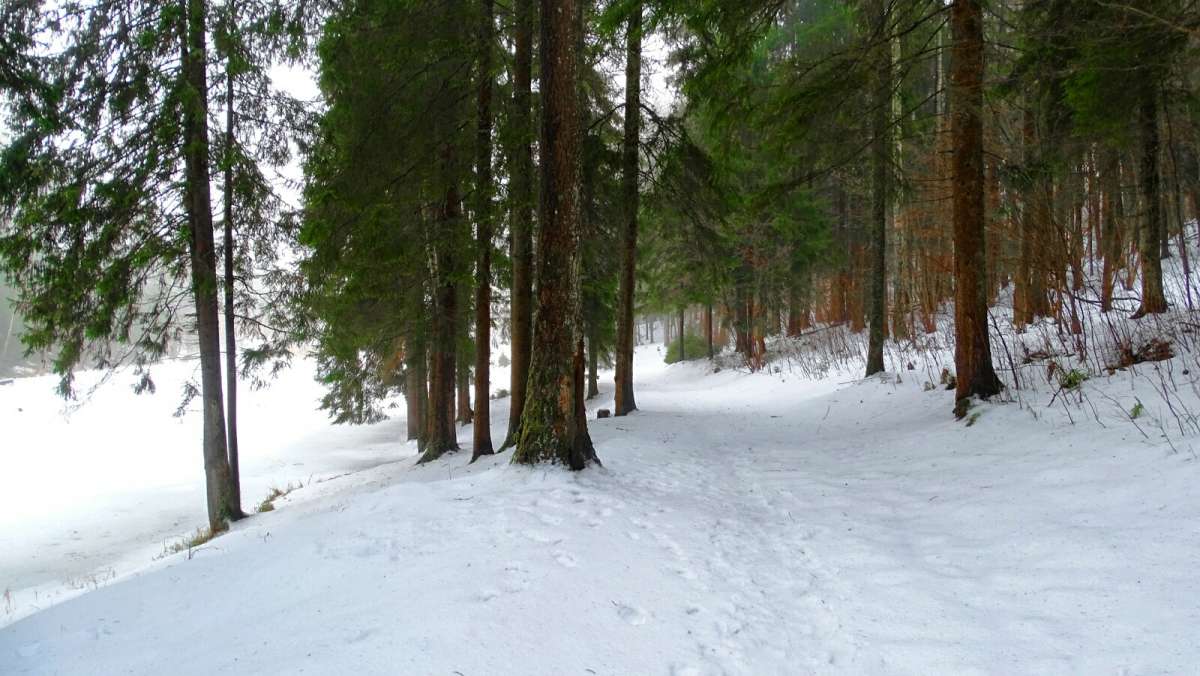 ������� � ����� �������. ����� �������� �������� �� PhotoGeek.ru #������ ��� �������