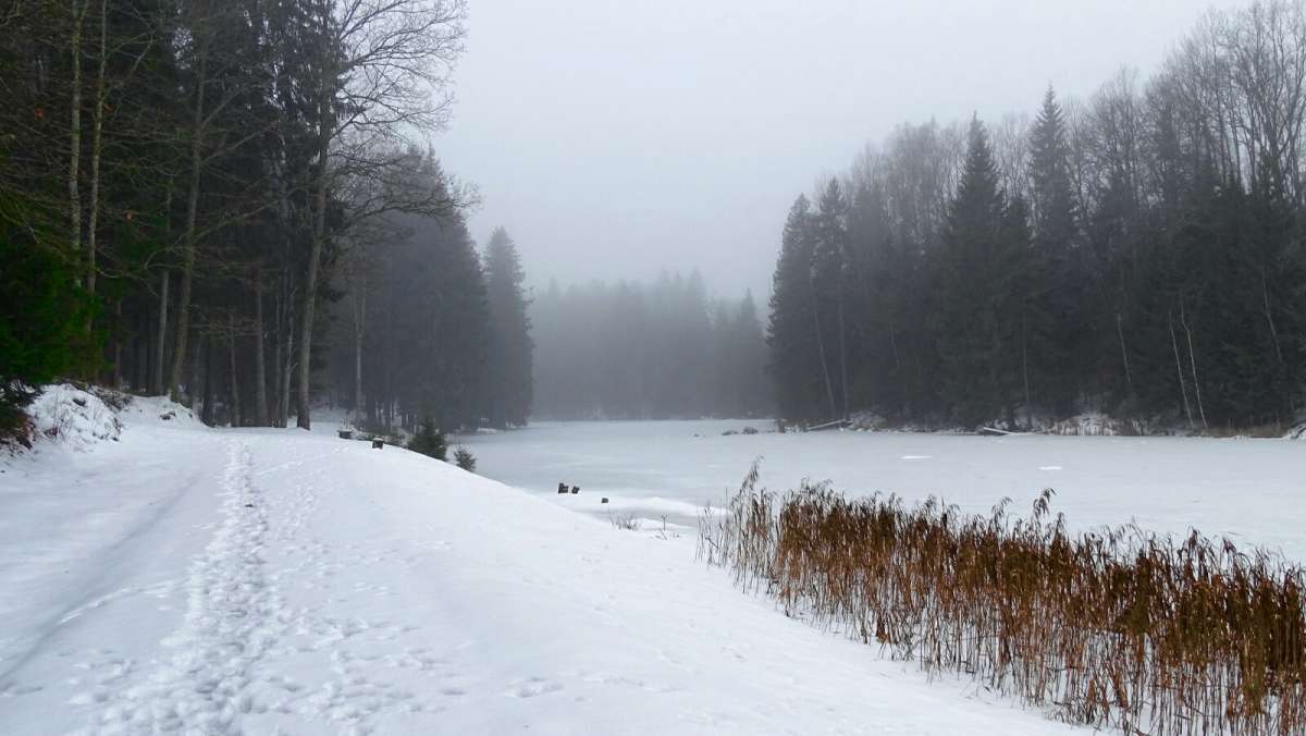 ��������� ����� �� ���������� ����� �������� �������� �� PhotoGeek.ru #������ ��� �������