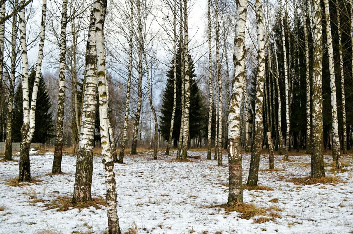 ������� ���� � �������� ����. ����� �������� �������� �� PhotoGeek.ru #������ ��� �������