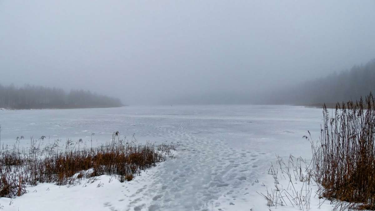 ����� �� �� �������� ���, �� ������� �� ���������! ����� �������� �������� �� PhotoGeek.ru #������ ��� �������