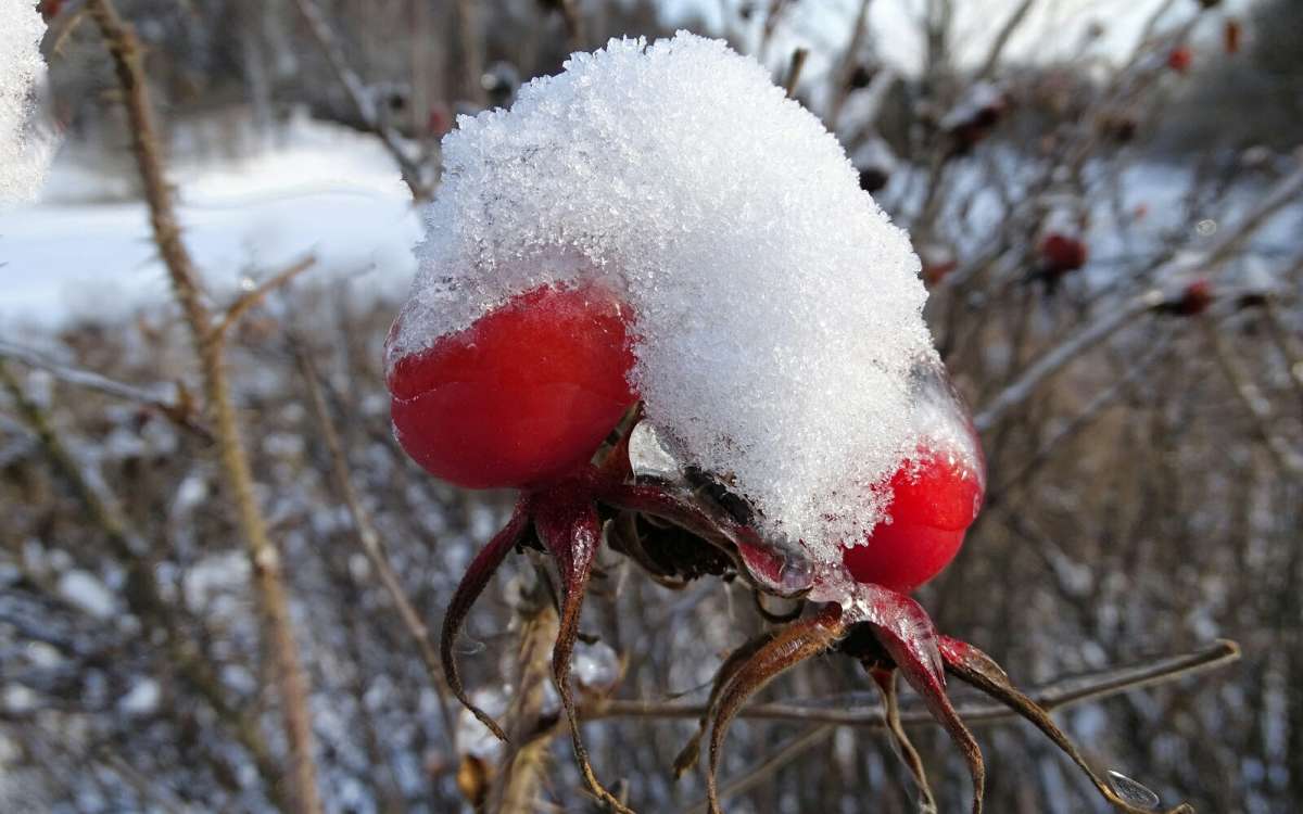 �������� ����. ����� �������� �������� �� PhotoGeek.ru #�����