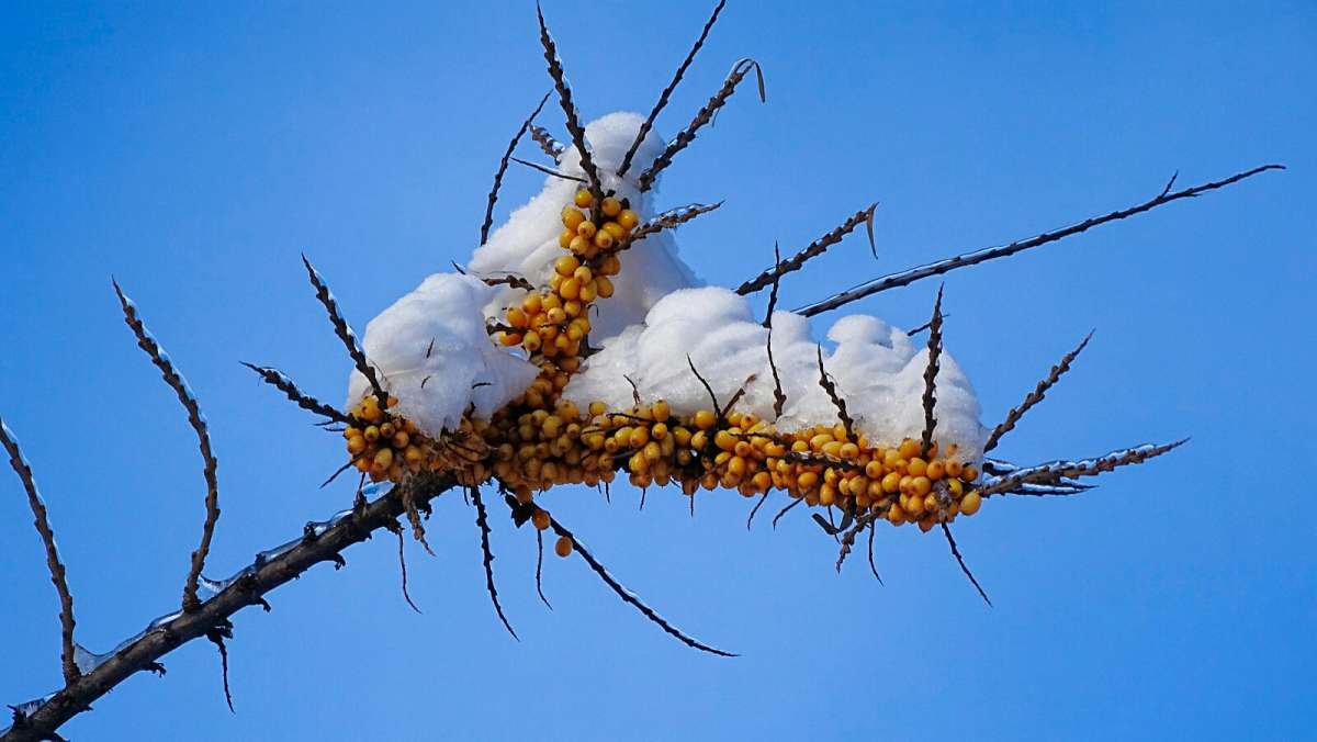 �������� ����. ����� �������� �������� �� PhotoGeek.ru #����� #������ ��� �������