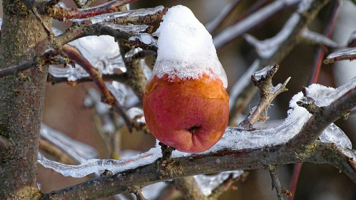 �������� ����. ����� �������� �������� �� PhotoGeek.ru #�����