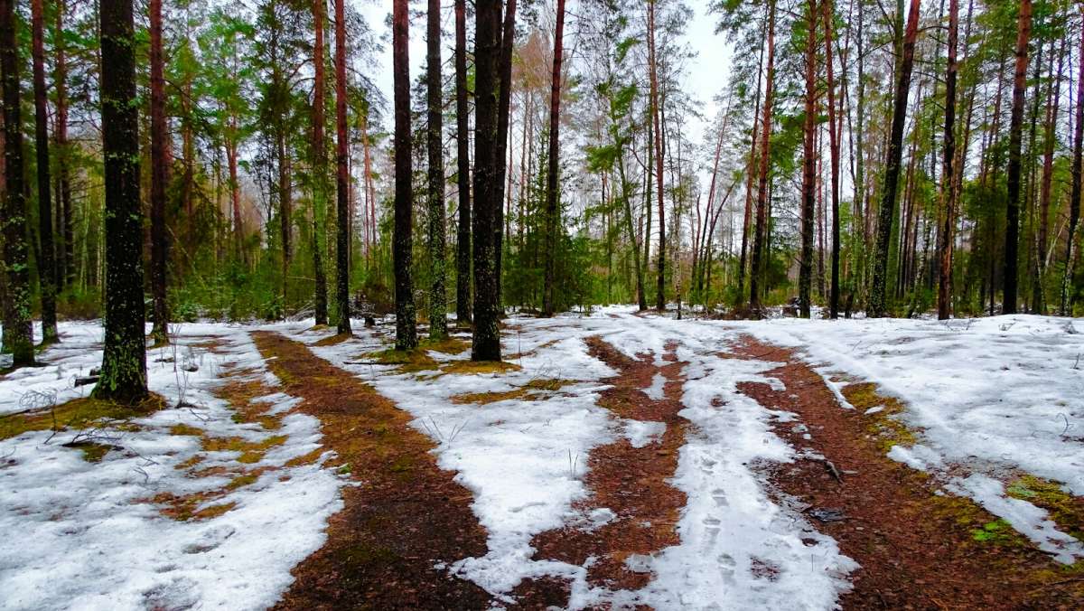 � ��������� ���� 2024 ����. ����� �������� �������� �� PhotoGeek.ru #������ ��� �������