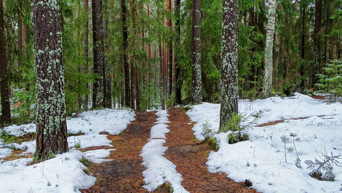 ���������  ���� ��������� ����. ����� �������� �������� �� PhotoGeek.ru #������ ��� �������